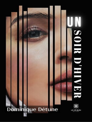 cover image of Un soir d'hiver